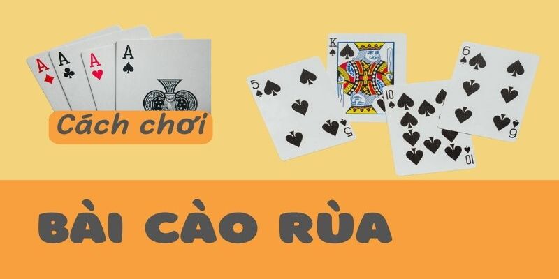 Luật chơi cơ bản 1 ván cược cào rùa